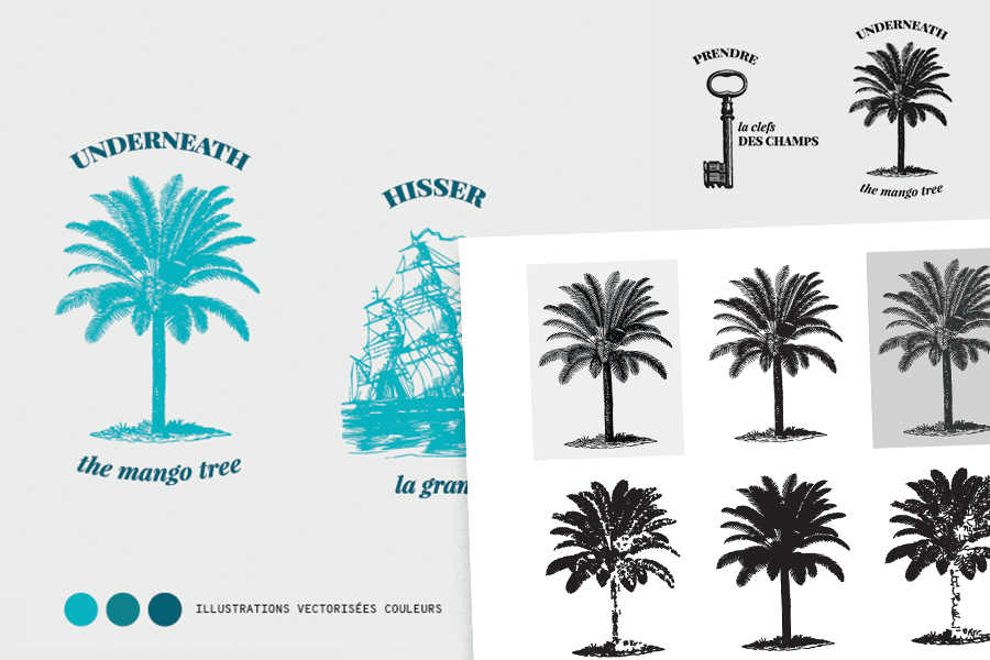 Projet Vectorisation